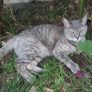 Meet your Posher, Anahi